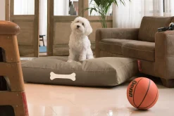 Doggielounge L Canvas Hundebetten, grau, 80x120x15 cm