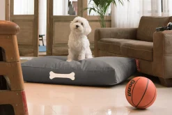 Doggielounge L Canvas Hundebetten, grau, 80x120x15 cm