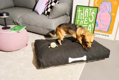 Doggielounge Olefin Large Hundebetten, grau, 120x75x14 cm