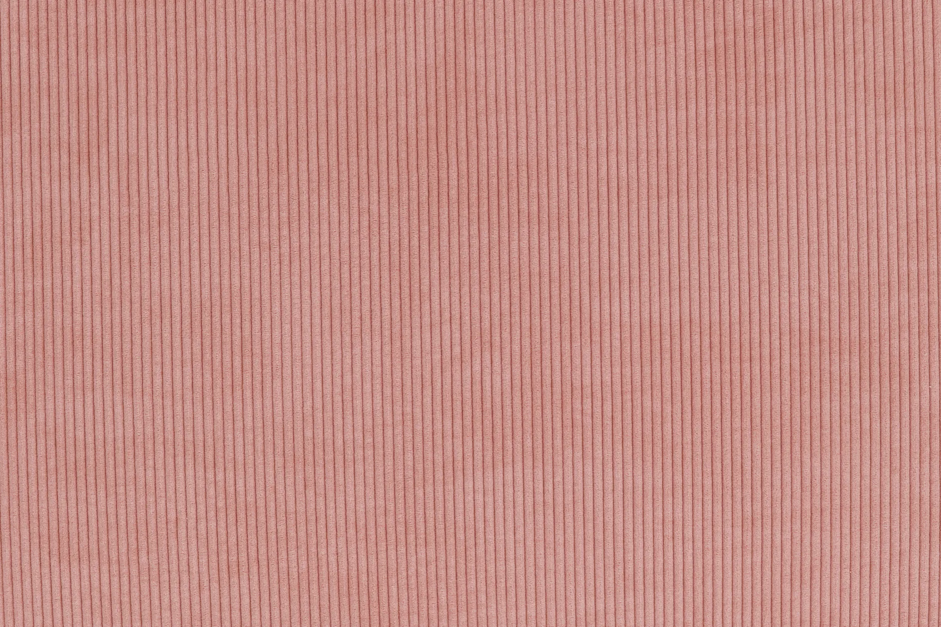Sumo Loveseat Cord Soft Pink Loveseat, 114x108x90 cm